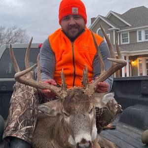 Meet your Posher, Remington